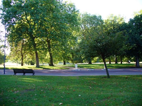 Park Park