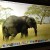 Retina Display Quality Retina Display Quality