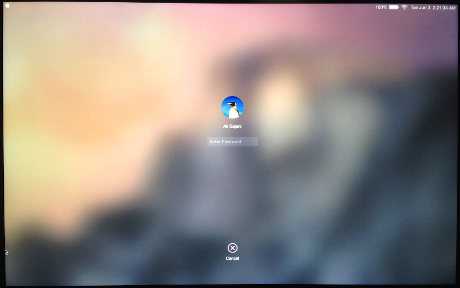 LoginScreen